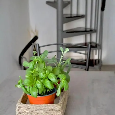 Tatil Evi Casa Dertu